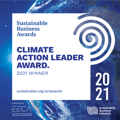 Climate Action Leader - Sustainable Business Network Awards 2021